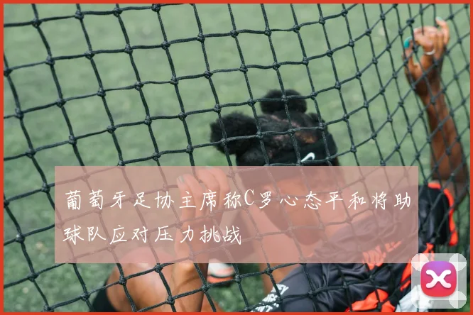 葡萄牙足协主席称C罗心态平和将助球队应对压力挑战
