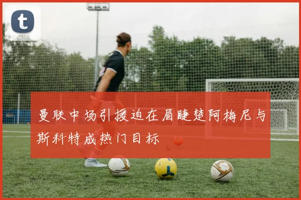 曼联中场引援迫在眉睫楚阿梅尼与斯科特成热门目标