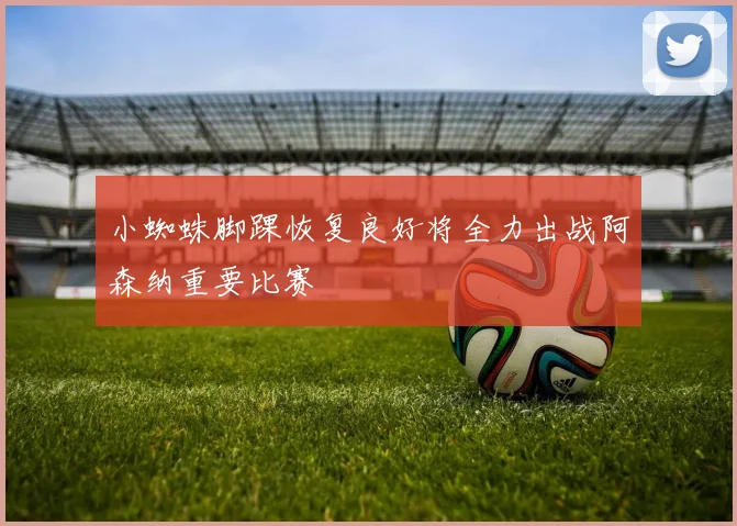 小蜘蛛脚踝恢复良好将全力出战阿森纳重要比赛