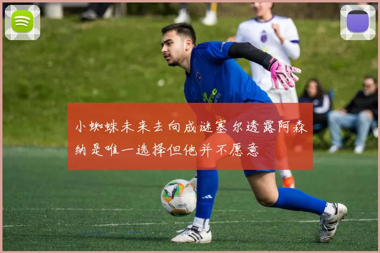 小蜘蛛未来去向成谜塞尔透露阿森纳是唯一选择但他并不愿意
